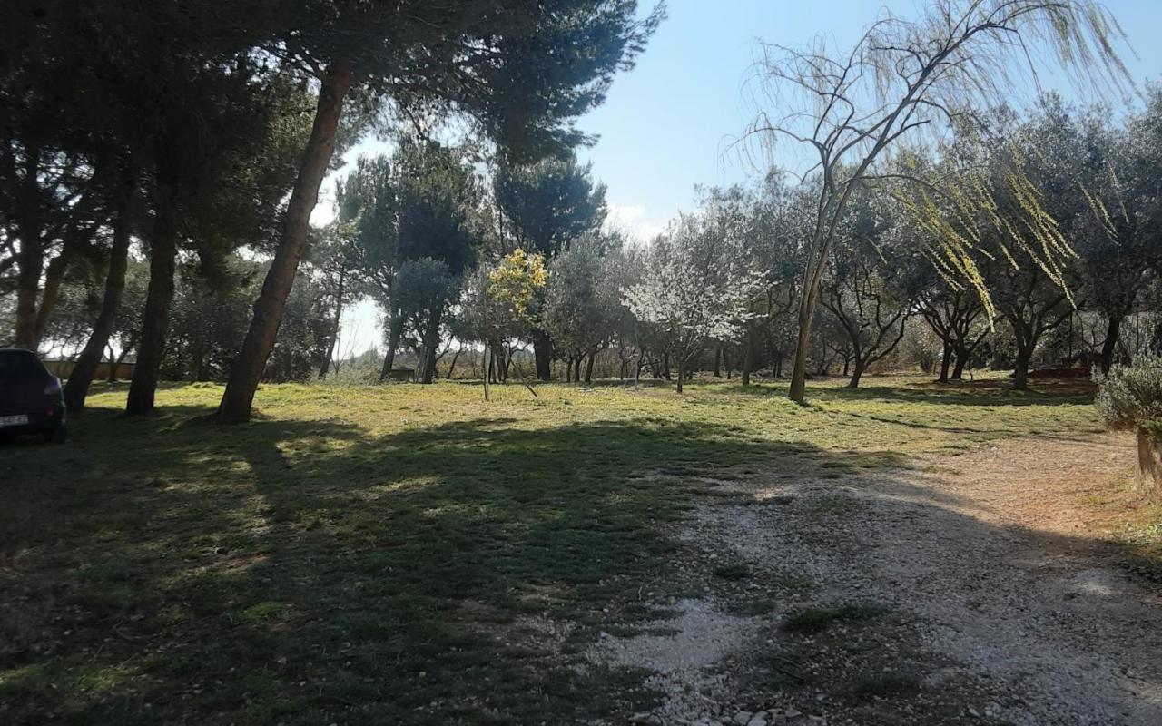 Apartments Nena 3* Ližnjan Dış mekan fotoğraf