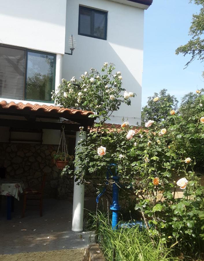Apartments Nena 3* Ližnjan Dış mekan fotoğraf